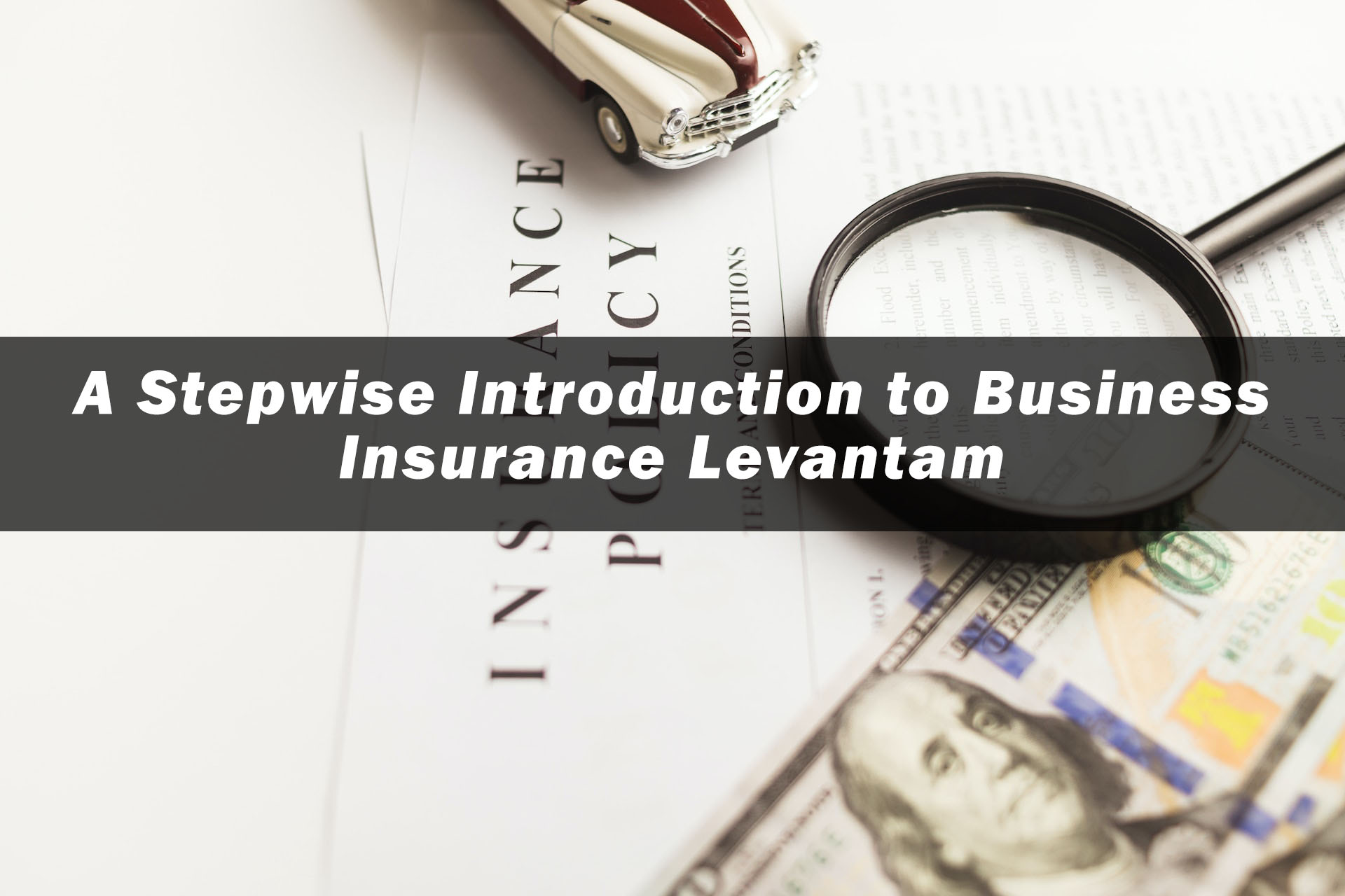 A Stepwise Introduction to Business Insurance Levantam