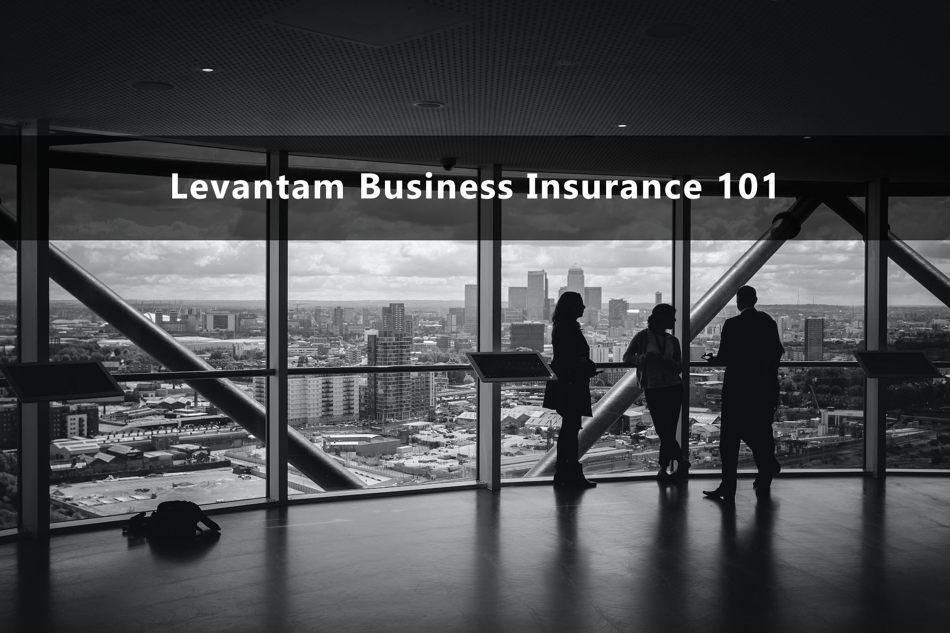 Levantam Business Insurance 101