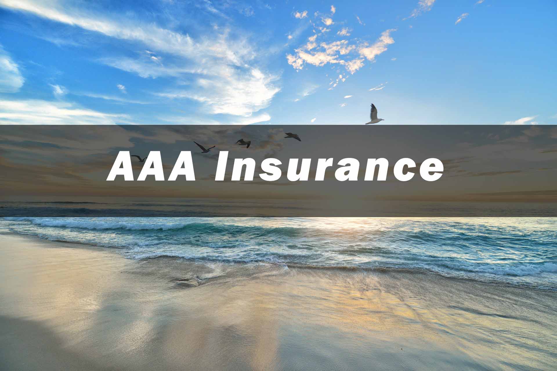 Levi Molini aaa Insurance